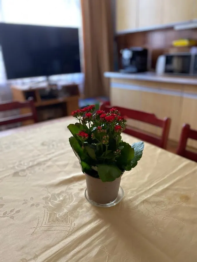 Bella Casa Economy Villa - Skibowa, close to Bielany Breslavia 0*,